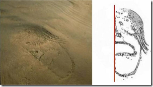 Fig 15 Caral Geoglyph Human Face